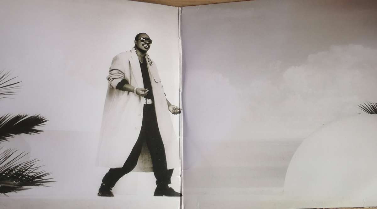 STEVIE WONDER - (IN SQUARE CIRCLE) - VINYL IN VERY GOOD COND. - SEE BELOW FOR INFO