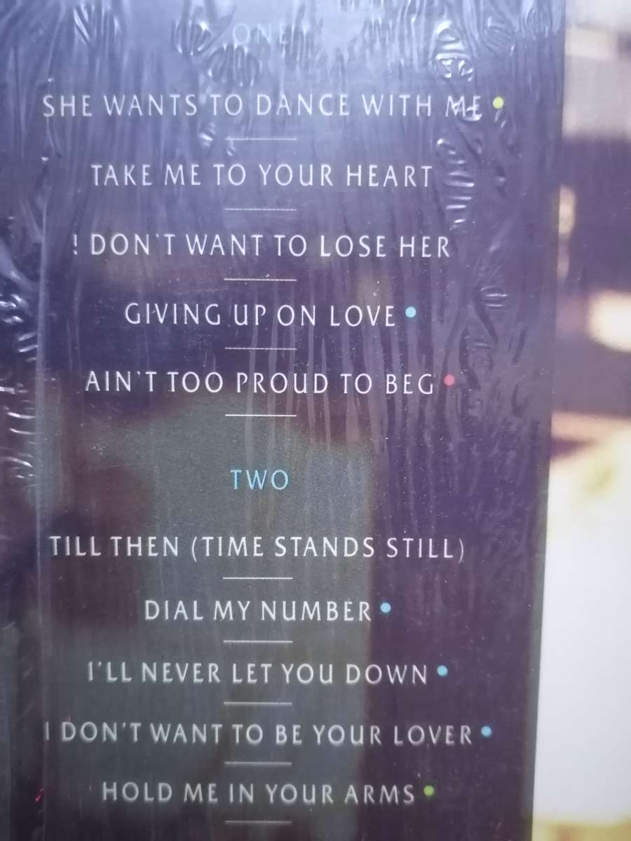 RICK ASTLEY (HOLD ME IN YOUR ARMS) - VINYL IN VERY GOOD COND. - SEE BELOW FOR INFO.