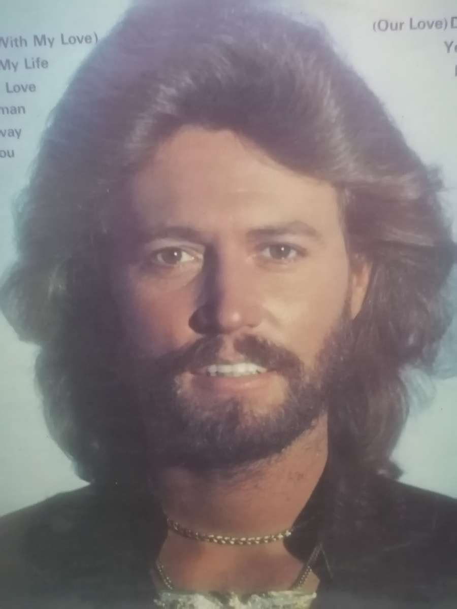 BEE GEES (GREATEST HITS - DOUBLE ALBUM) - EXCELLENT COND. - SEE BELOW FOR INFO.