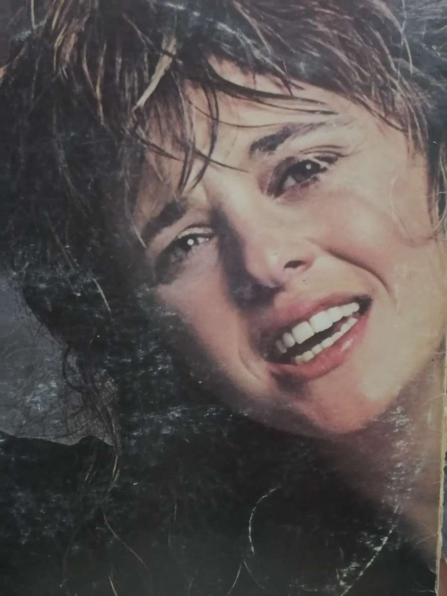 Suzi Quatro, and other four letter words vinyl.