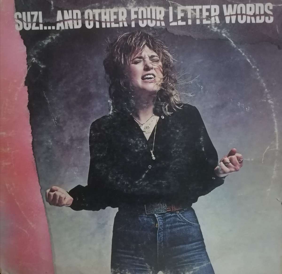 Suzi Quatro, and other four letter words vinyl.