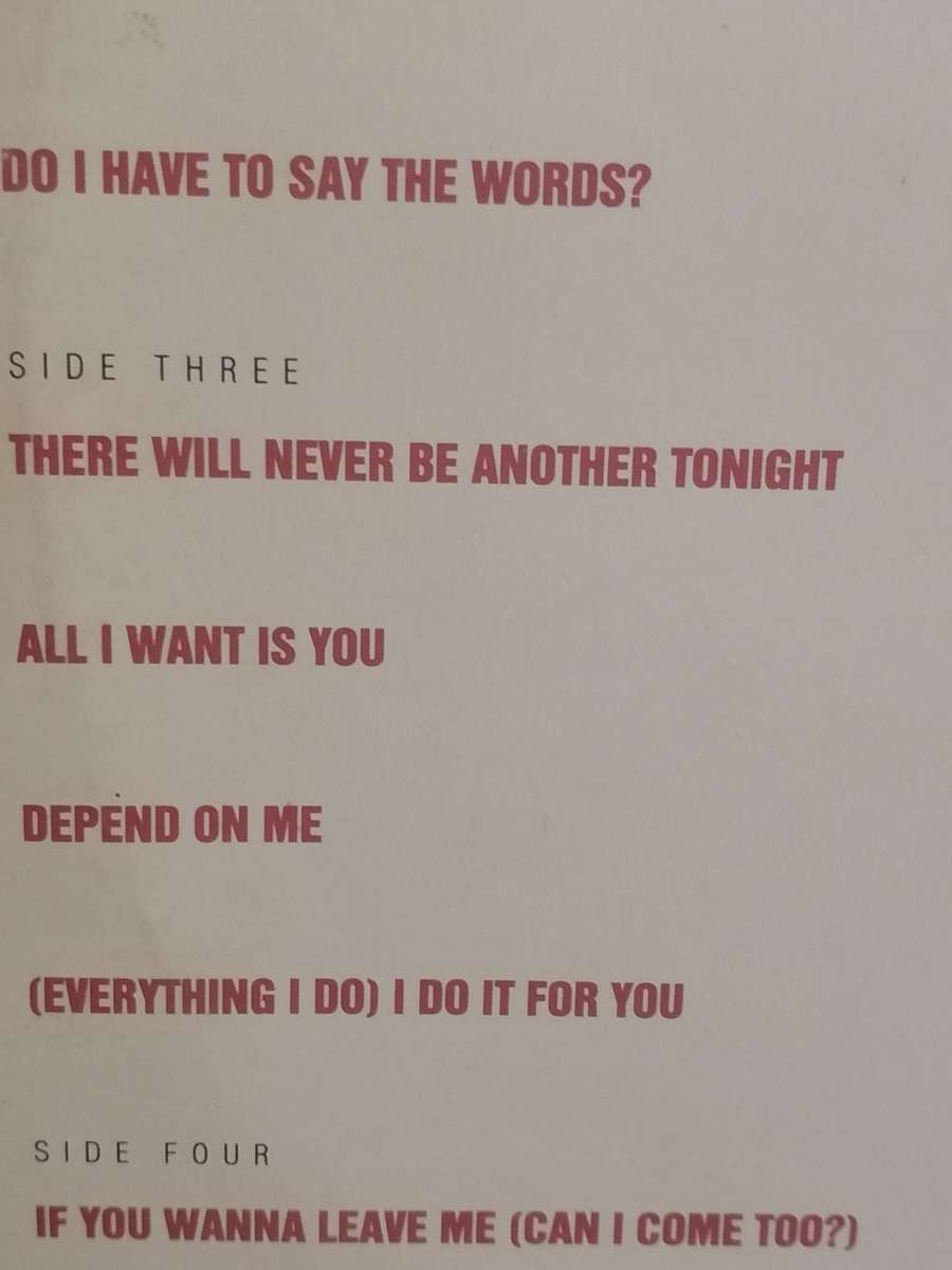 Bryan Adams, waking up the neighbours, double album, vinyl's excellent.