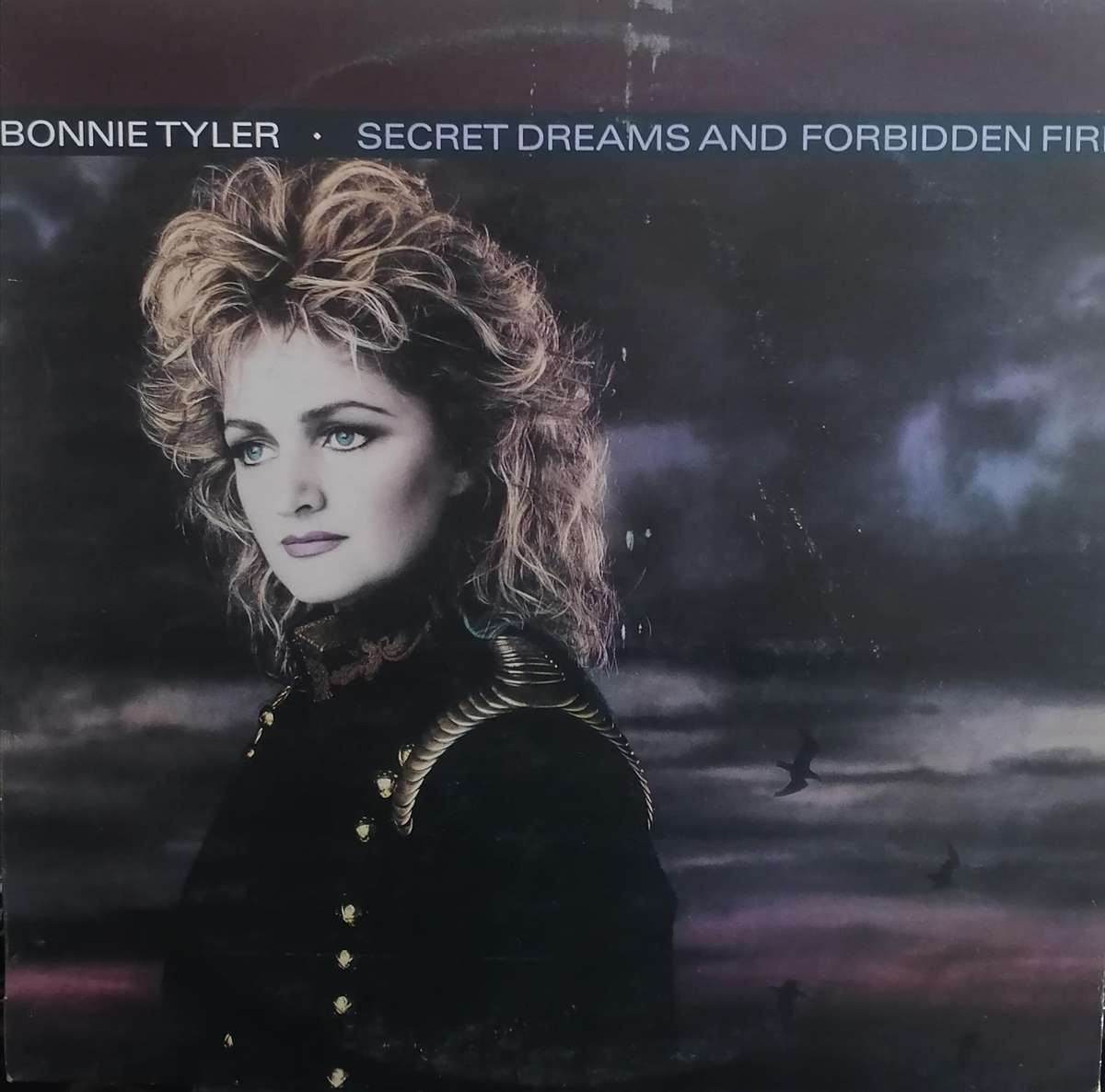 Bonnie Tyler, Secret dreams and forbidden fire, vinyl excellent.