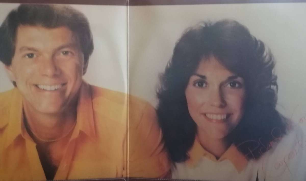 The Carpenters, 24 Greatest hits, double album, vinyl's excellent.