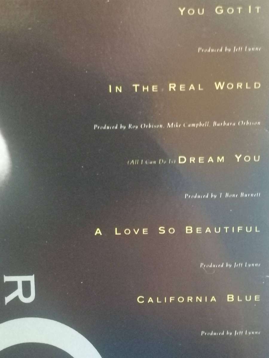 Roy Orbison, Mystery girl, vinyl very good.