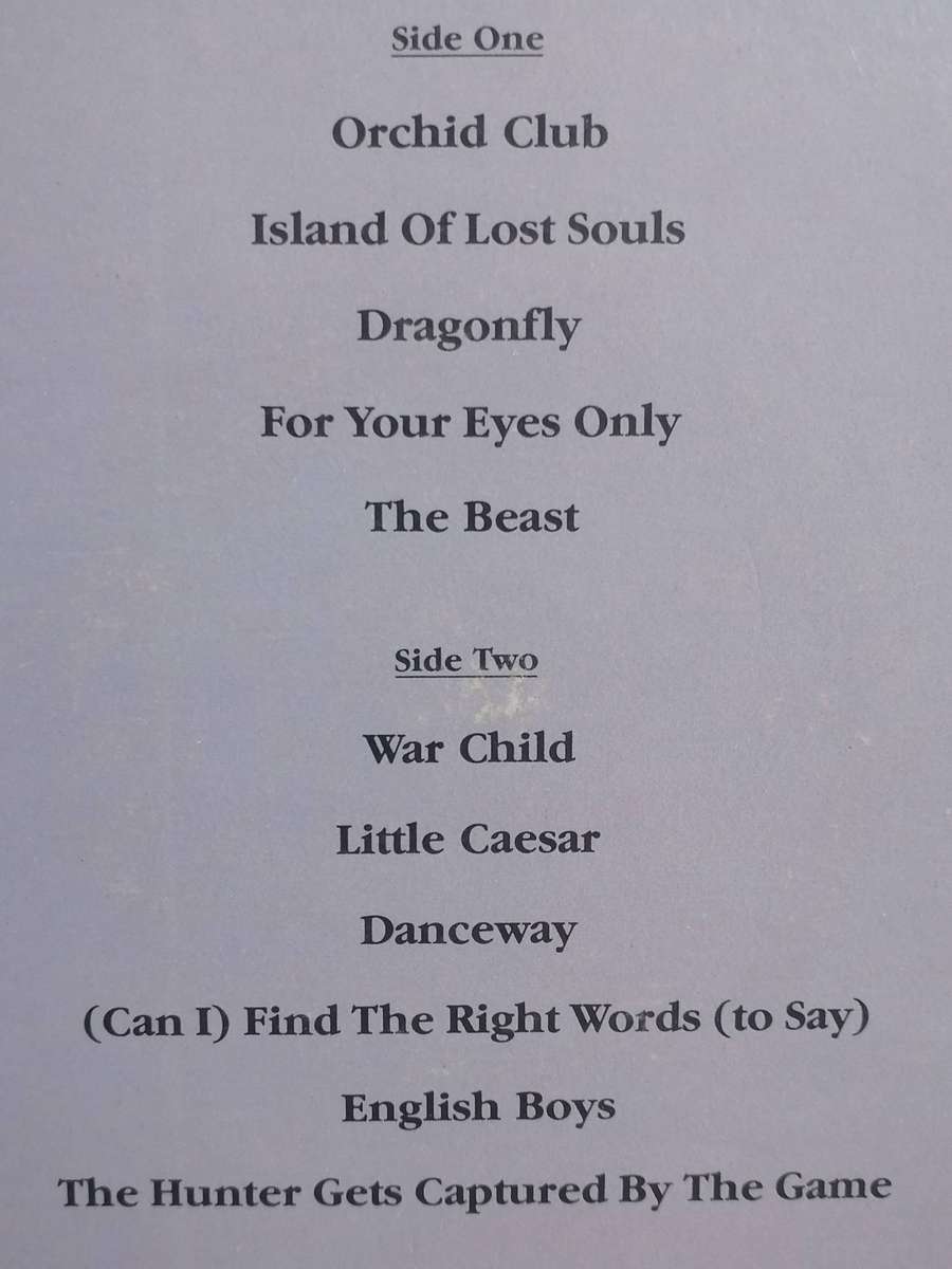 Blondie, Hunter, vinyl very good.