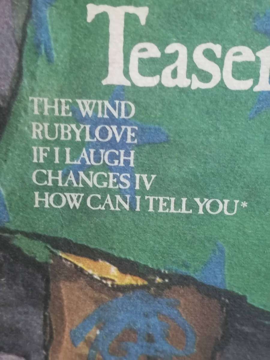 Cat Stevens, Teaser & The Firecat , vinyl very good-.