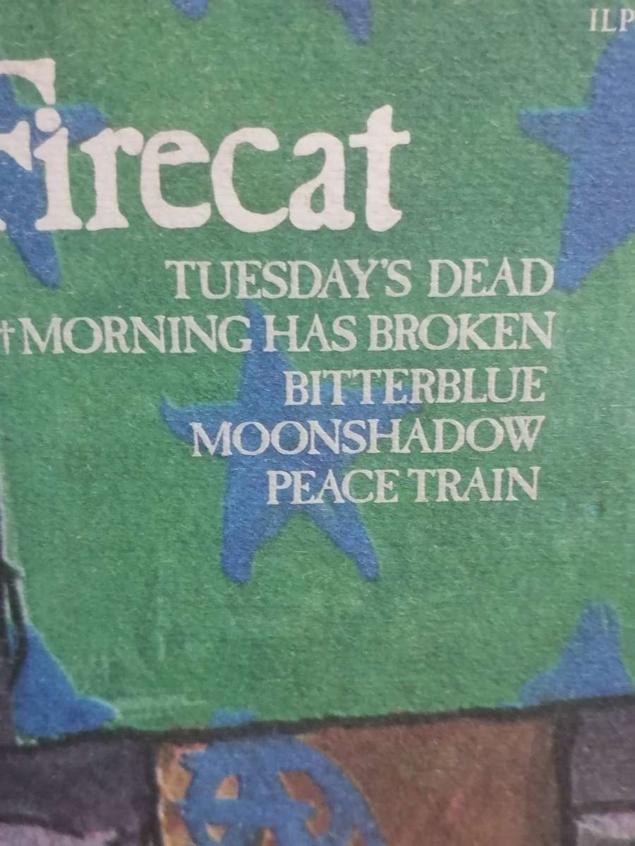 Cat Stevens, Teaser & The Firecat , vinyl very good-.