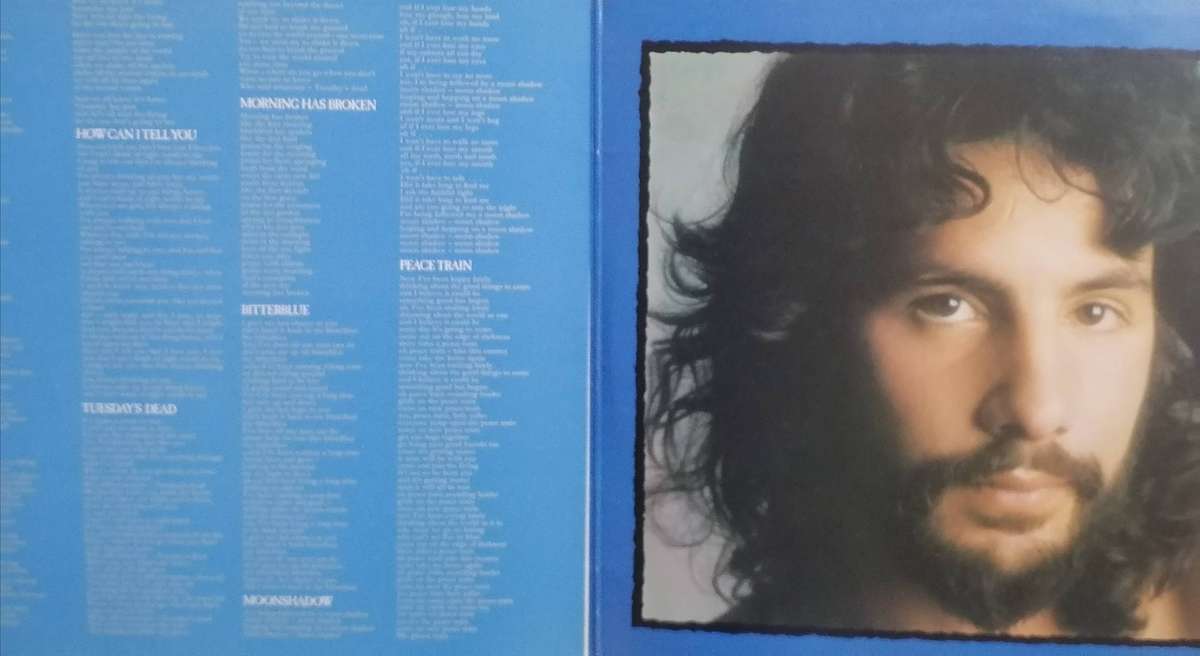 Cat Stevens, Teaser & The Firecat , vinyl very good-.