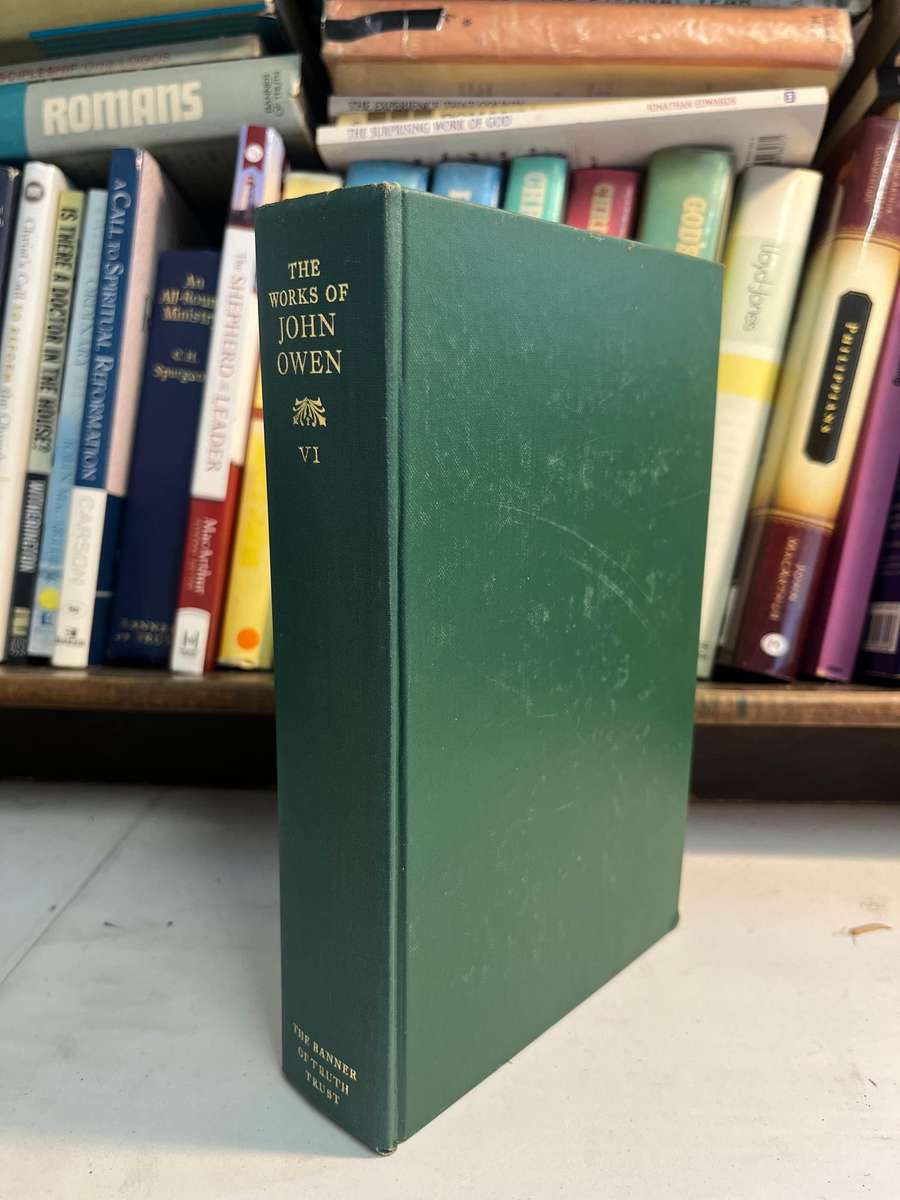 The works of John Owen Volume VI Theology