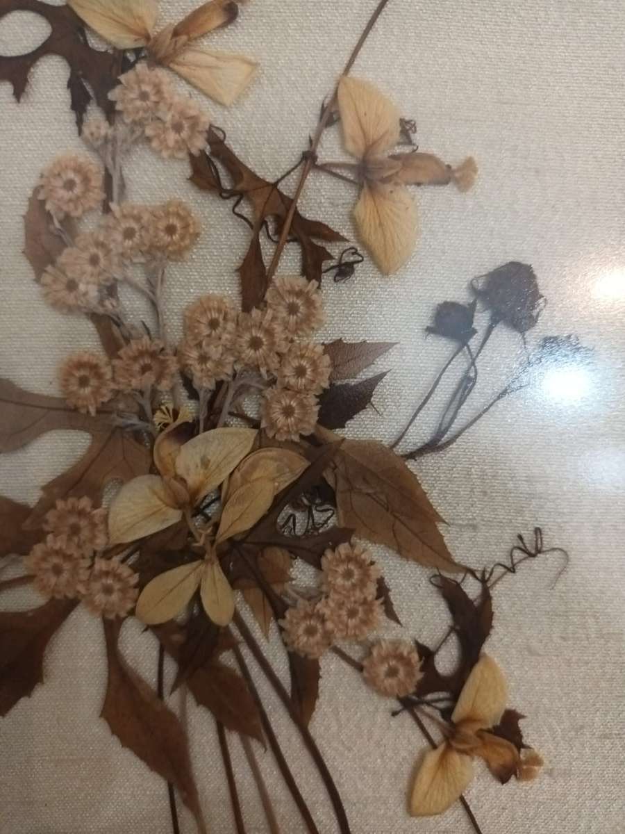 Framed, glazed vintage dried flower arrangement fixed to linen
