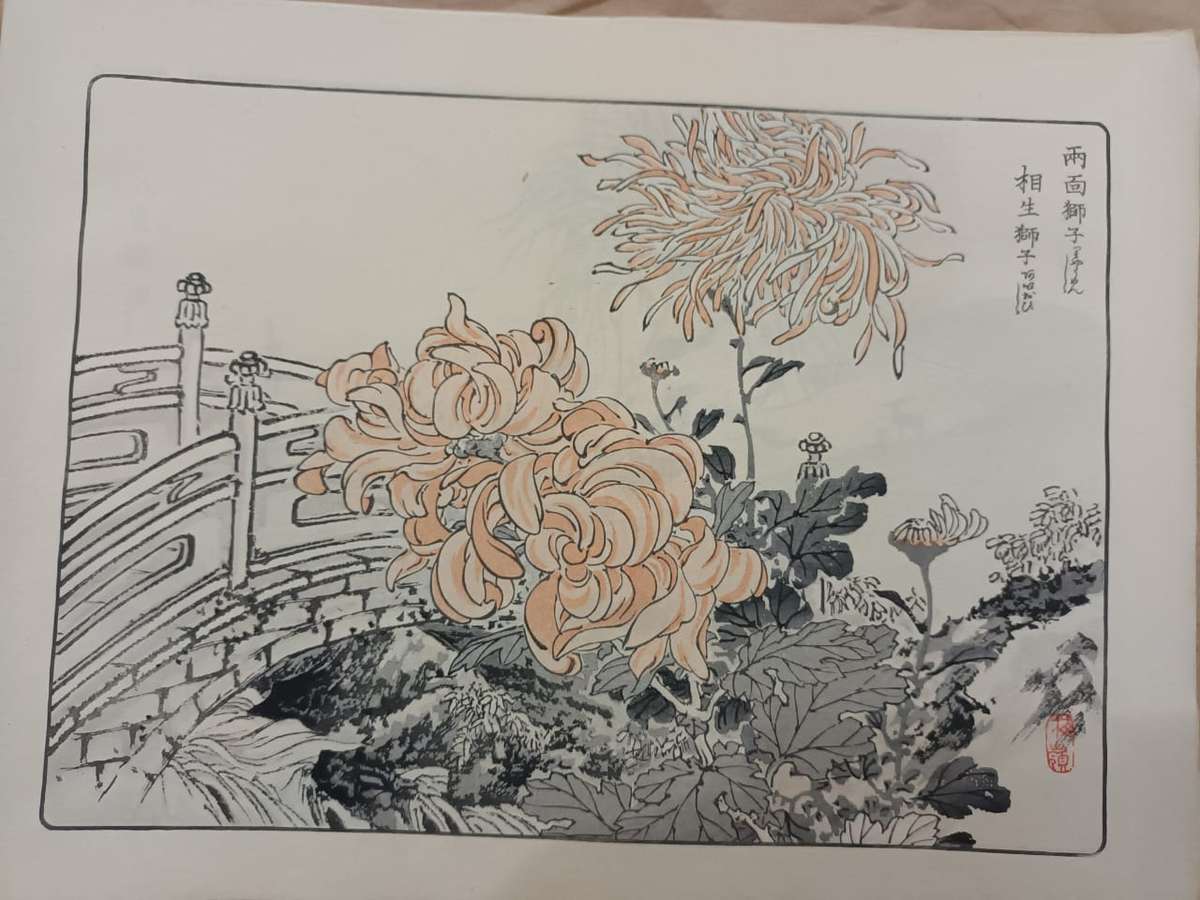 12 beautiful original Japanese woodblock prints of chrysanthemums, 1890s.