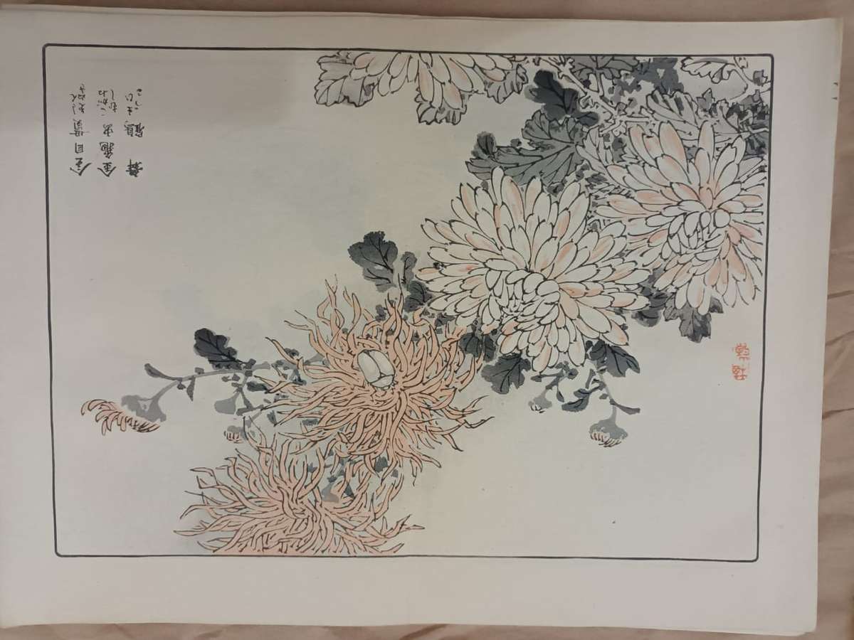12 beautiful original Japanese woodblock prints of chrysanthemums, 1890s.
