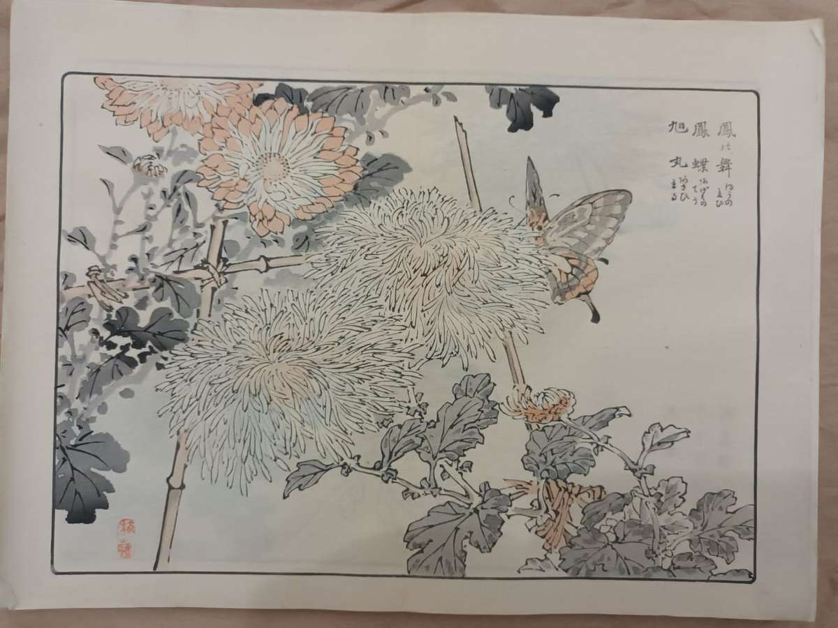 12 beautiful original Japanese woodblock prints of chrysanthemums, 1890s.