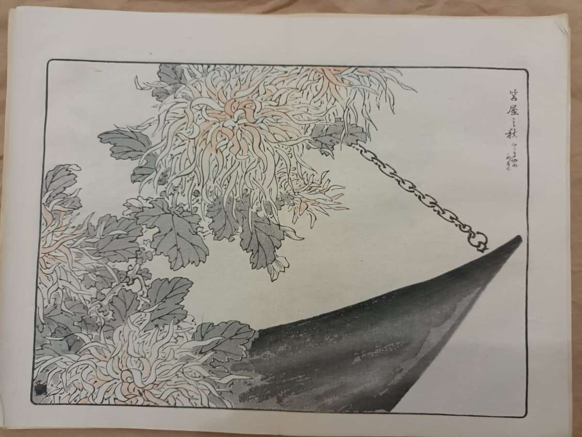 12 beautiful original Japanese woodblock prints of chrysanthemums, 1890s.