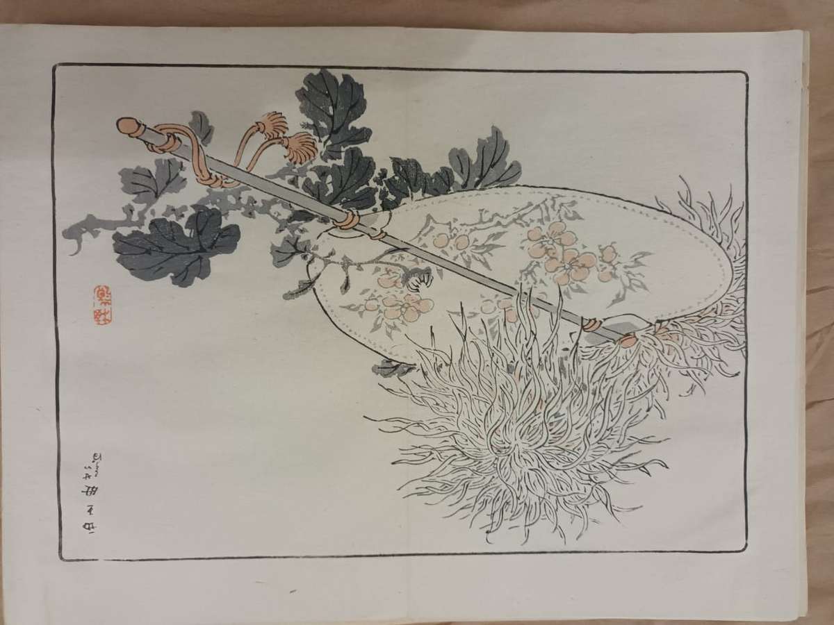 12 beautiful original Japanese woodblock prints of chrysanthemums, 1890s.