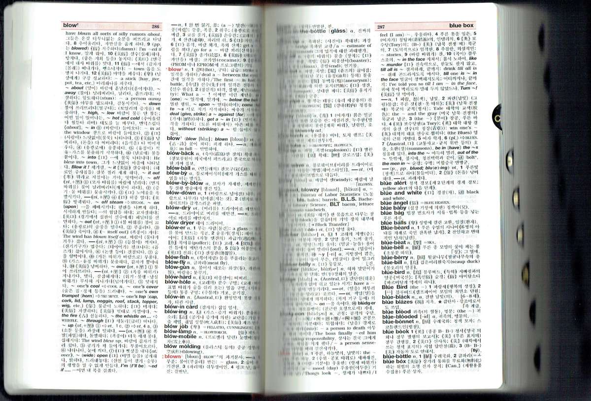 Minjung's Essence English-Korean Dictionary