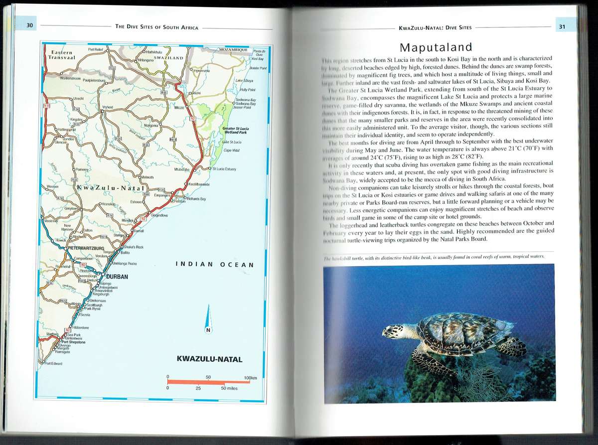 The Dive Sites of South Africa: Comprehensive Coverage of diving and Snorkelling