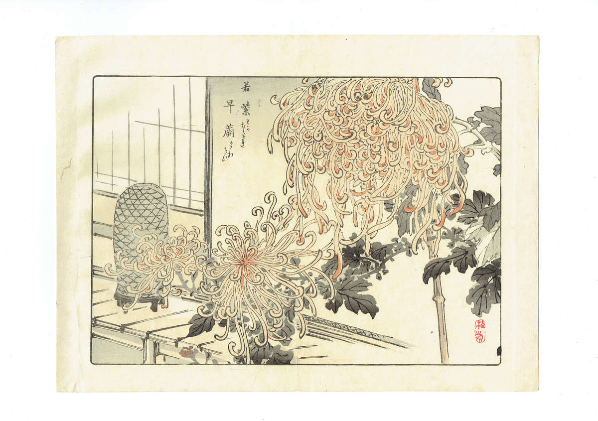 Ten Original Japanese woodblock prints by Kono Bairei, Meiji period. 1890s.