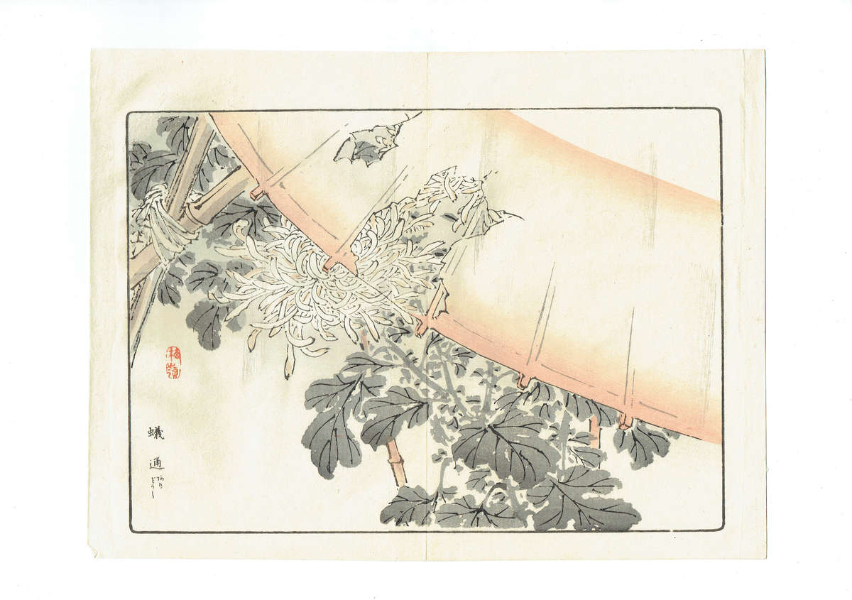 Ten Original Japanese woodblock prints by Kono Bairei, Meiji period. 1890s.