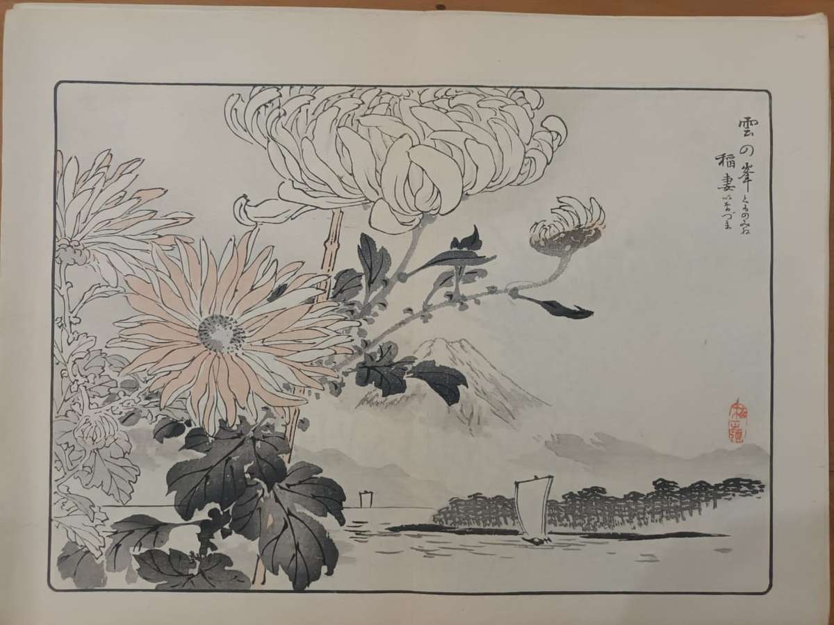Kono Bairei (1844 - 1895), 12 original Japanese woodblock prints of crysanthemums