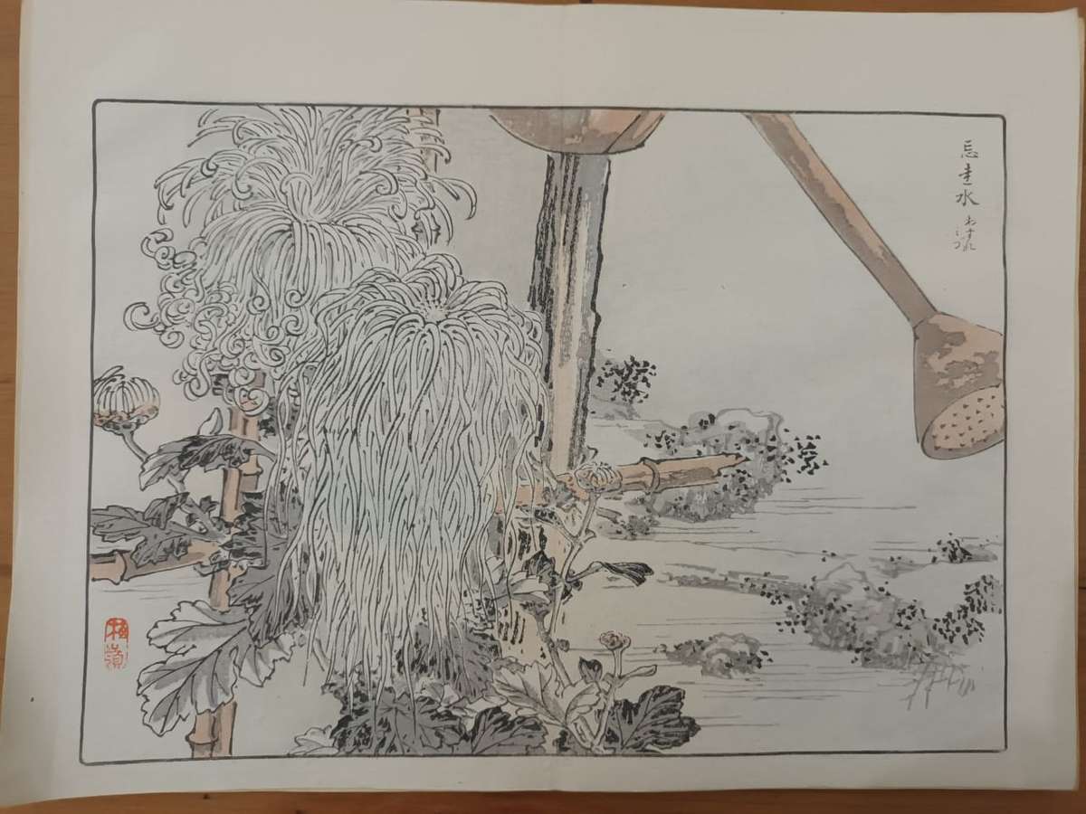 Kono Bairei (1844 - 1895), 12 original Japanese woodblock prints of crysanthemums