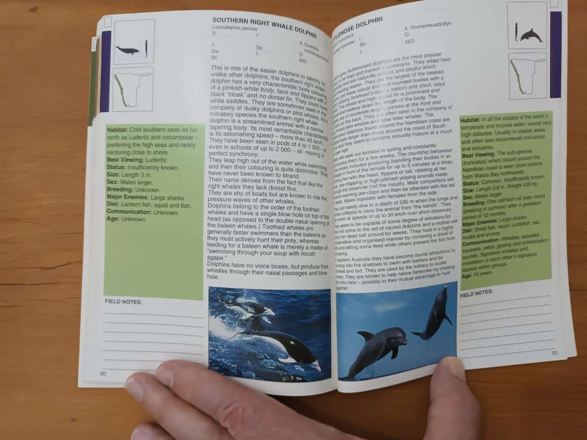 A Field Guide to the Mammals of Namibia