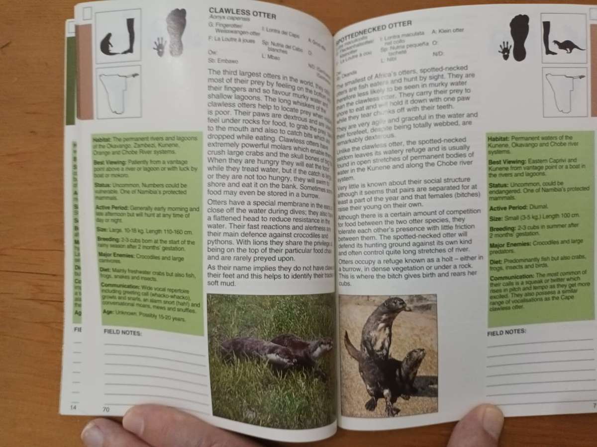 A Field Guide to the Mammals of Namibia