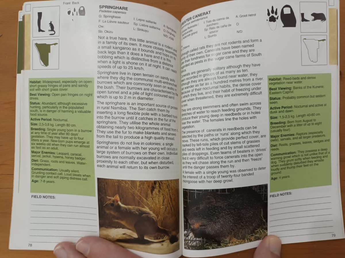 A Field Guide to the Mammals of Namibia