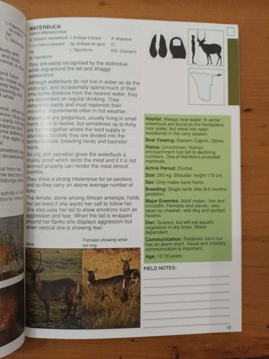 A Field Guide to the Mammals of Namibia