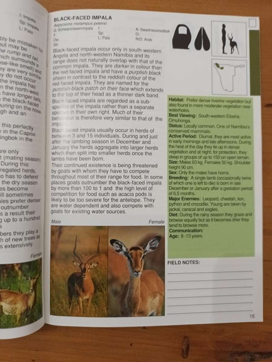 A Field Guide to the Mammals of Namibia