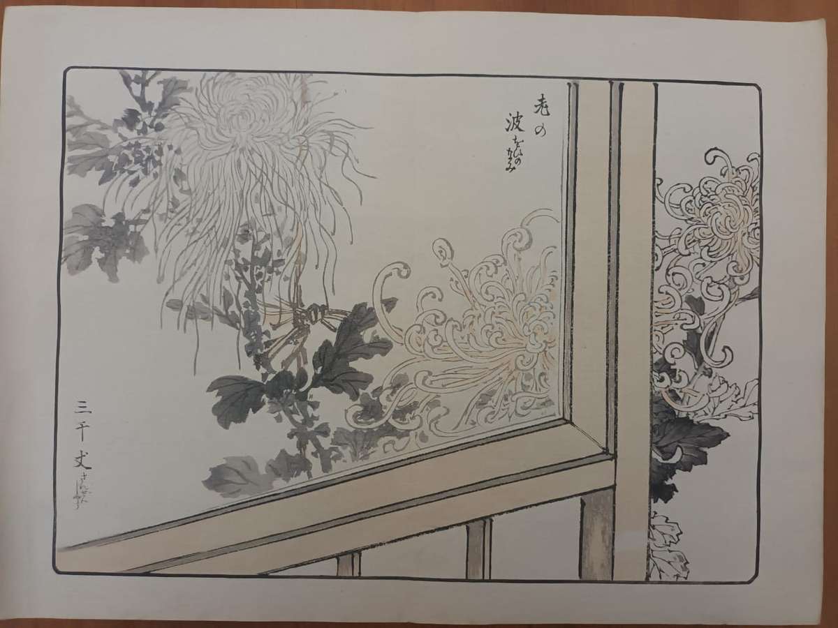 Kono Bairei: 11 original Japanese woodblock prints of chrysanthemums, 1890s
