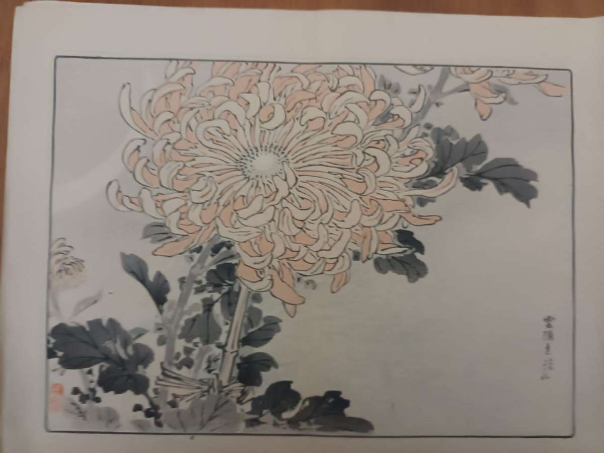 Kono Bairei: 11 original Japanese woodblock prints of chrysanthemums, 1890s