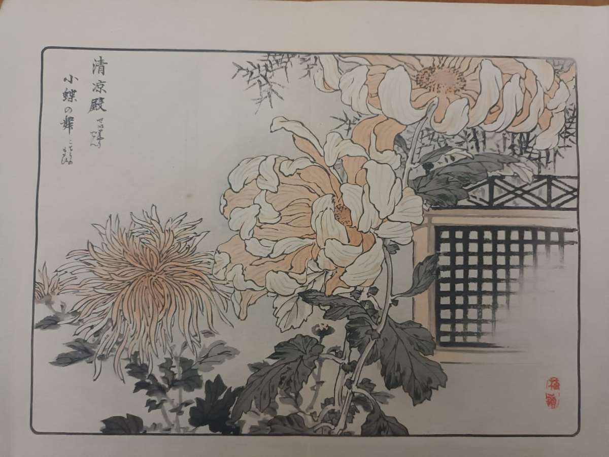 Kono Bairei: 11 original Japanese woodblock prints of chrysanthemums, 1890s