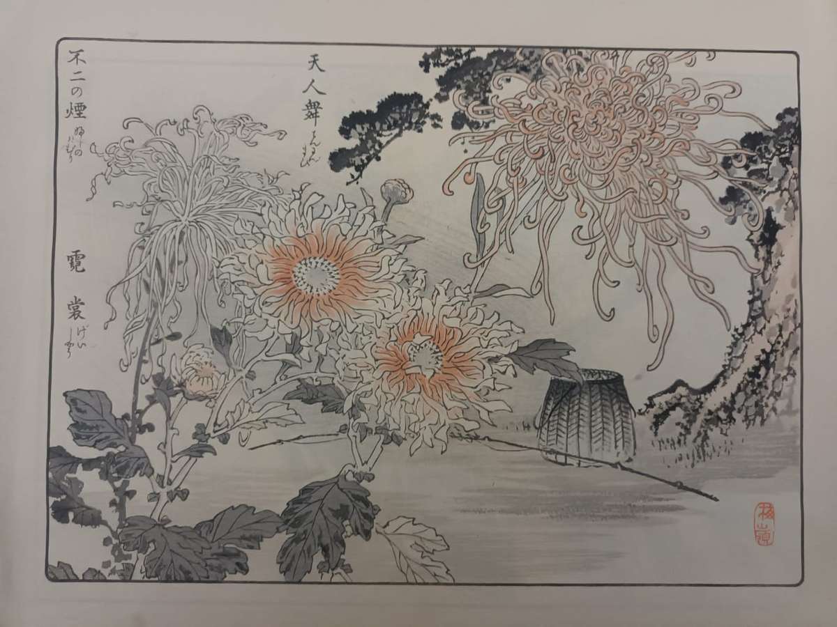 Kono Bairei: 11 original Japanese woodblock prints of chrysanthemums, 1890s