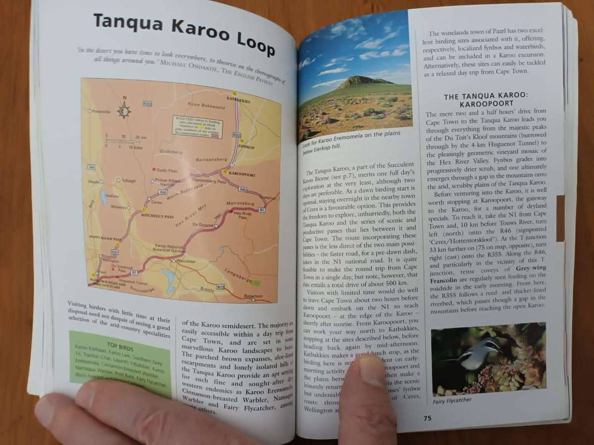 Essential Birding: Western South Africa (SIGNED BY BOTH AUTHORS)