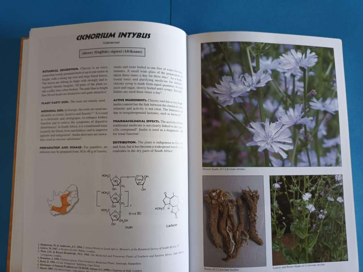 Medicinal Plants of South Africa