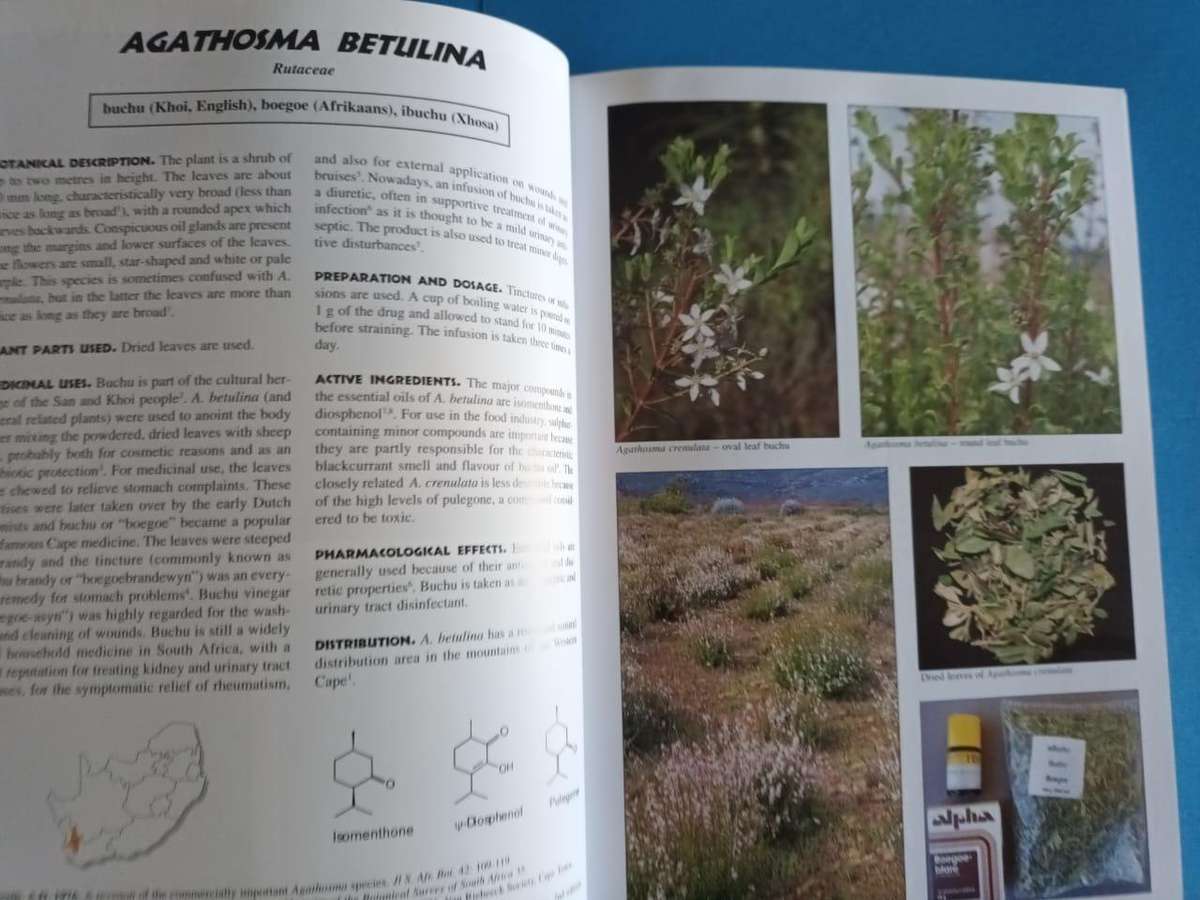 Medicinal Plants of South Africa