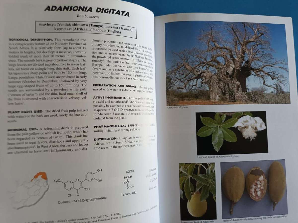 Medicinal Plants of South Africa