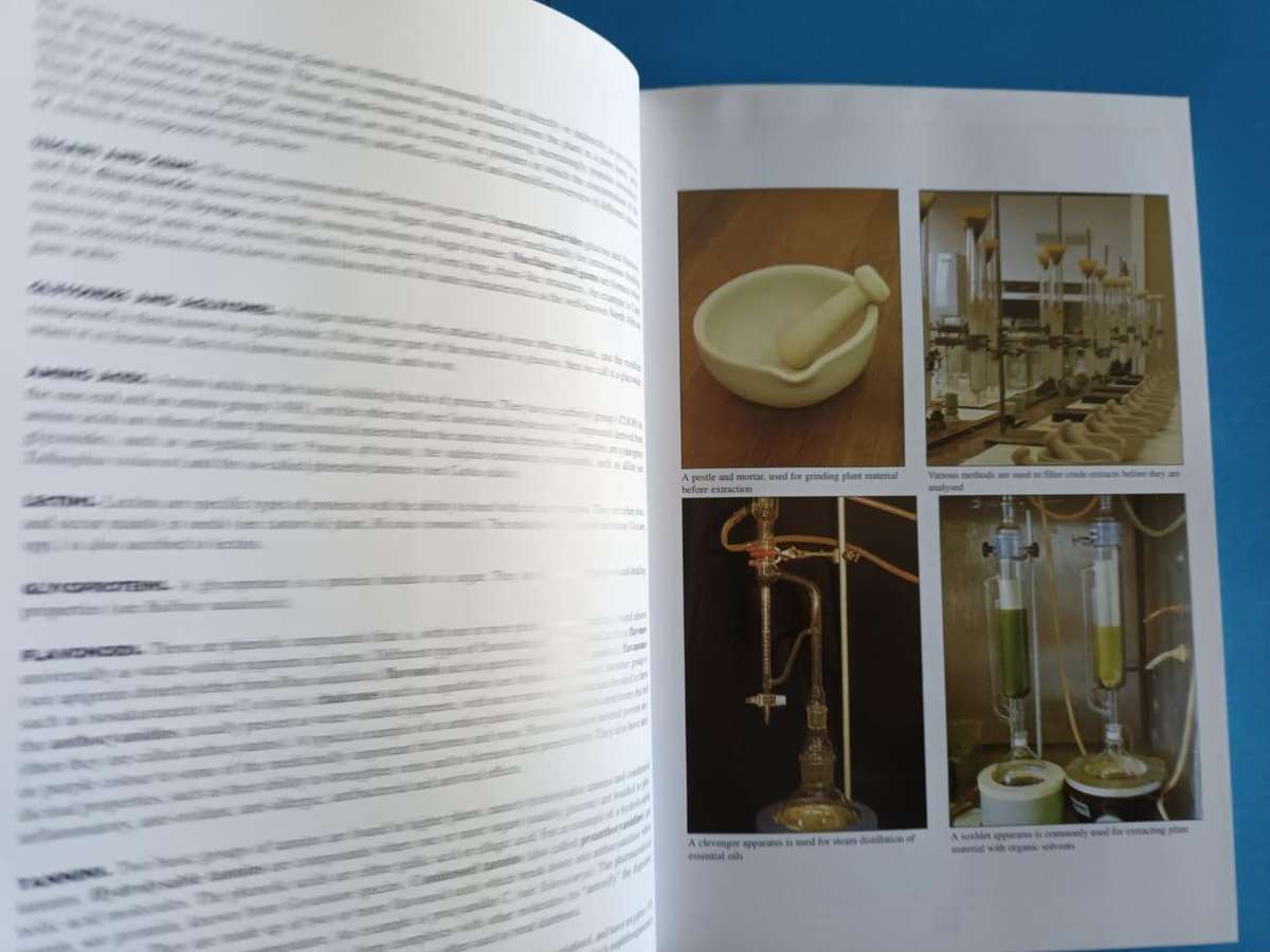 Medicinal Plants of South Africa