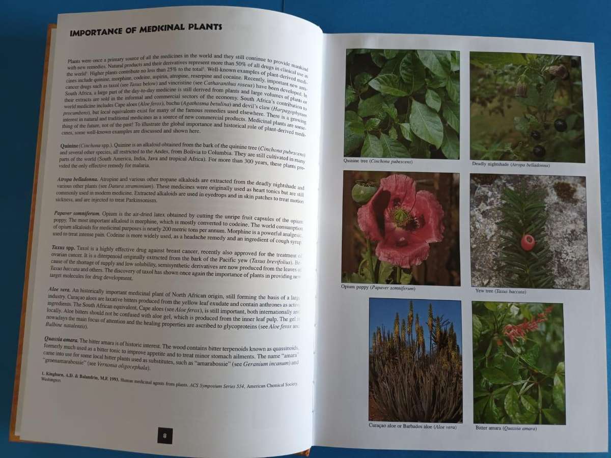 Medicinal Plants of South Africa