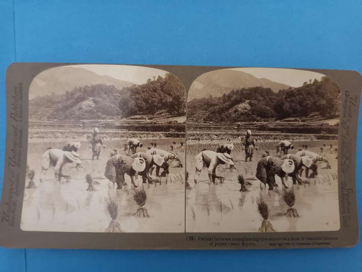 76 stereoscopic photographic slides of Japan, 1904: a wonderful time capsule!