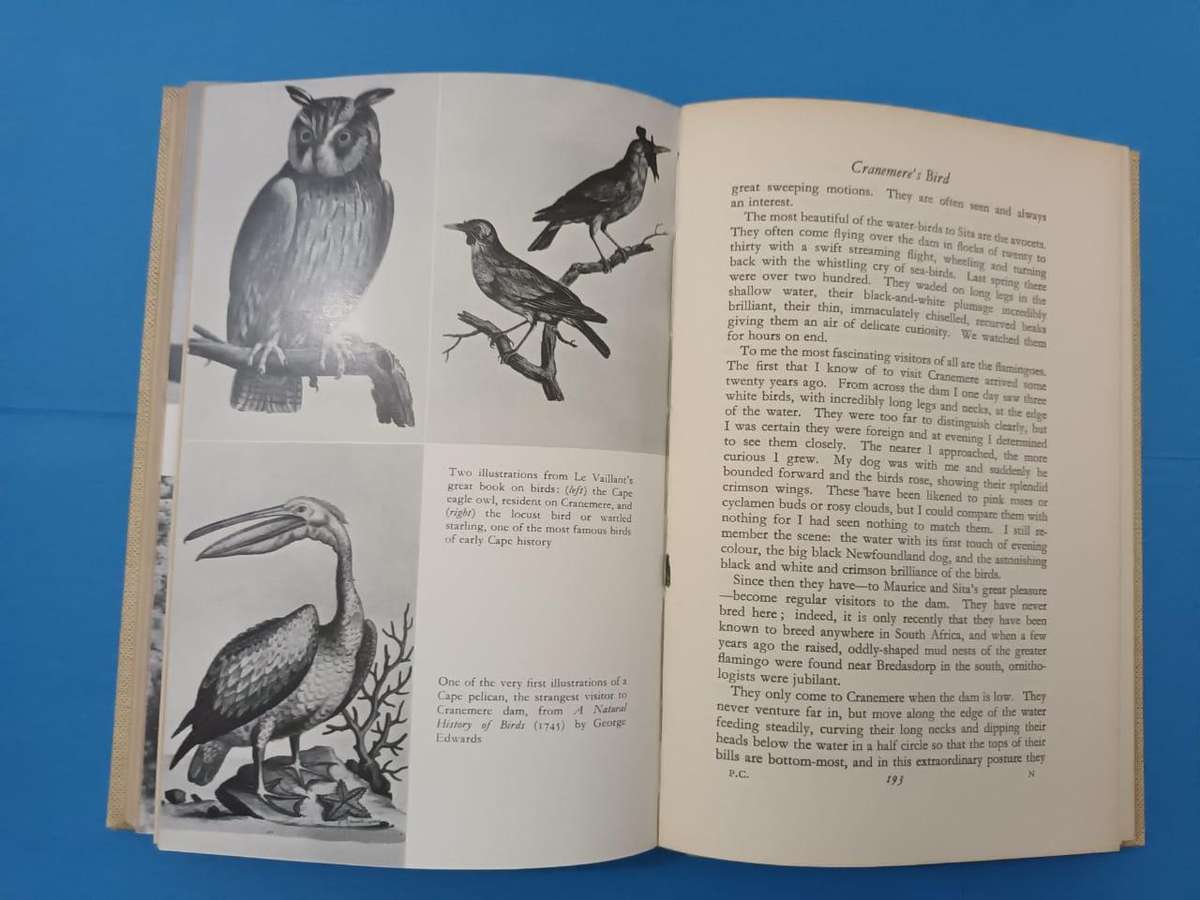 Eve Palmer, The Plains of Camdeboo, 1st edition