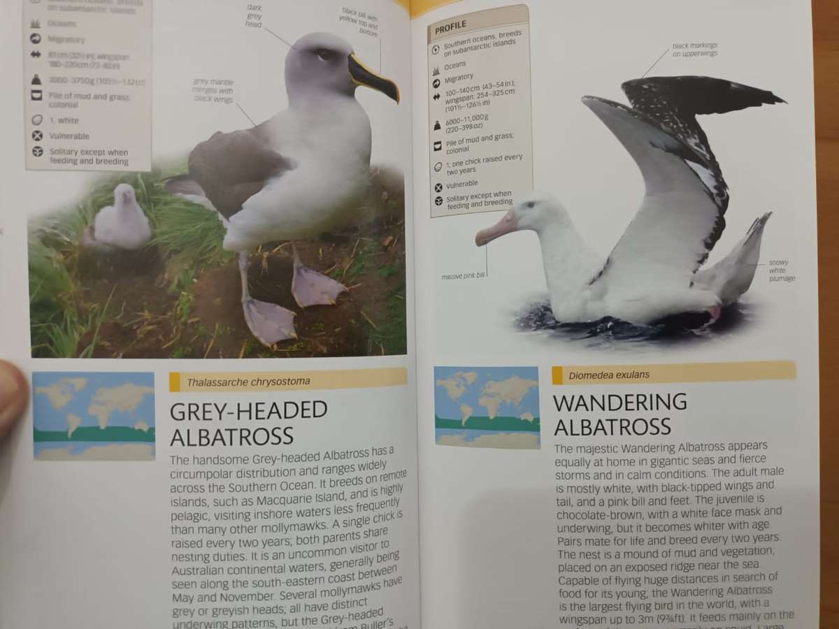 Birds of Australia (Dorling Kindersley publication)