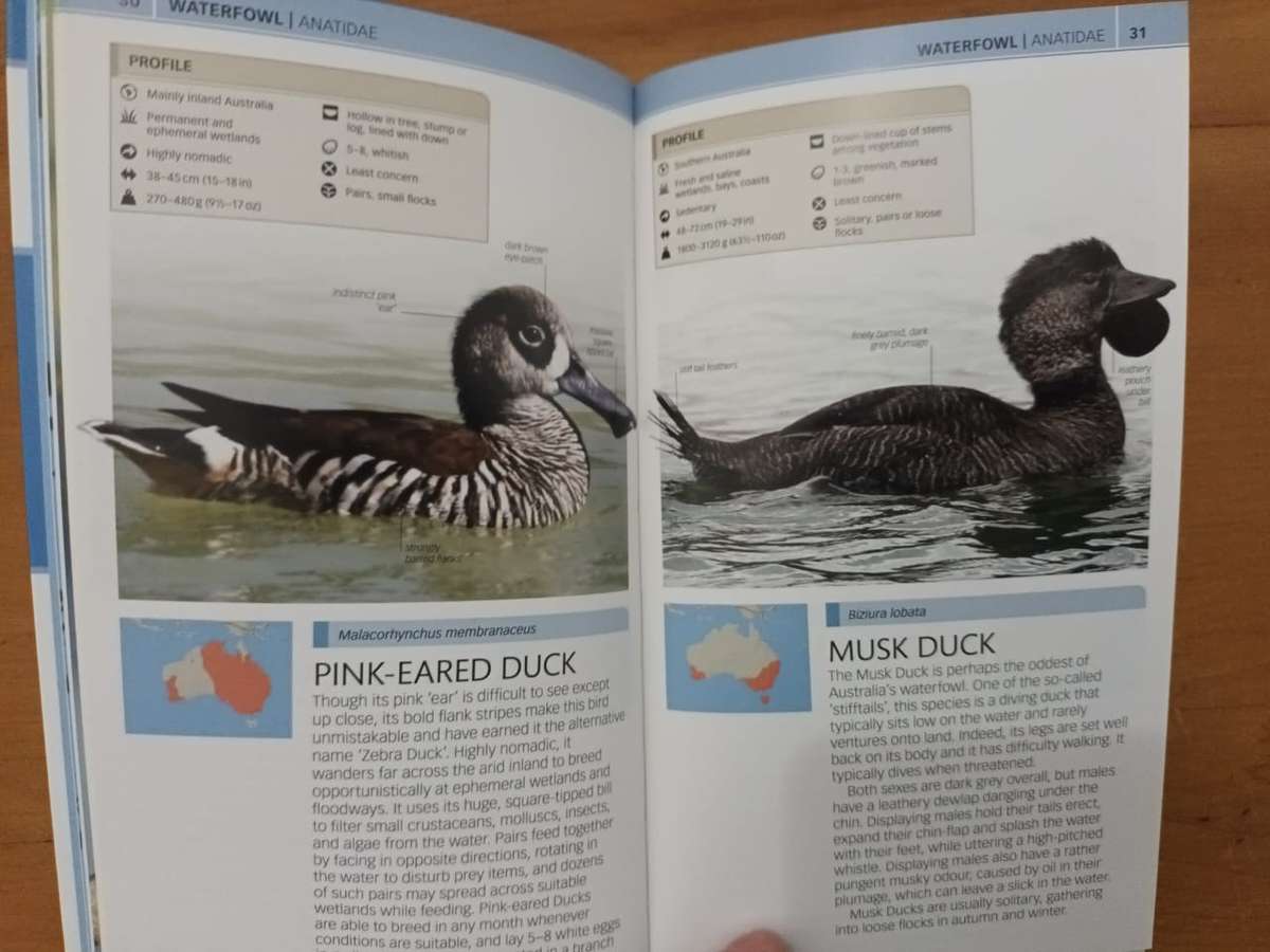 Birds of Australia (Dorling Kindersley publication)