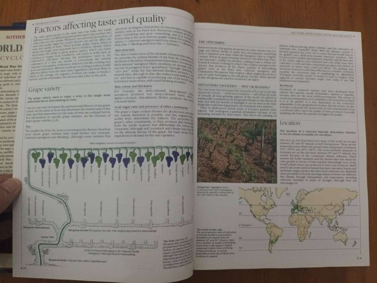 Sotheby's World Wine Encyclopedia (Tom Stevenson)