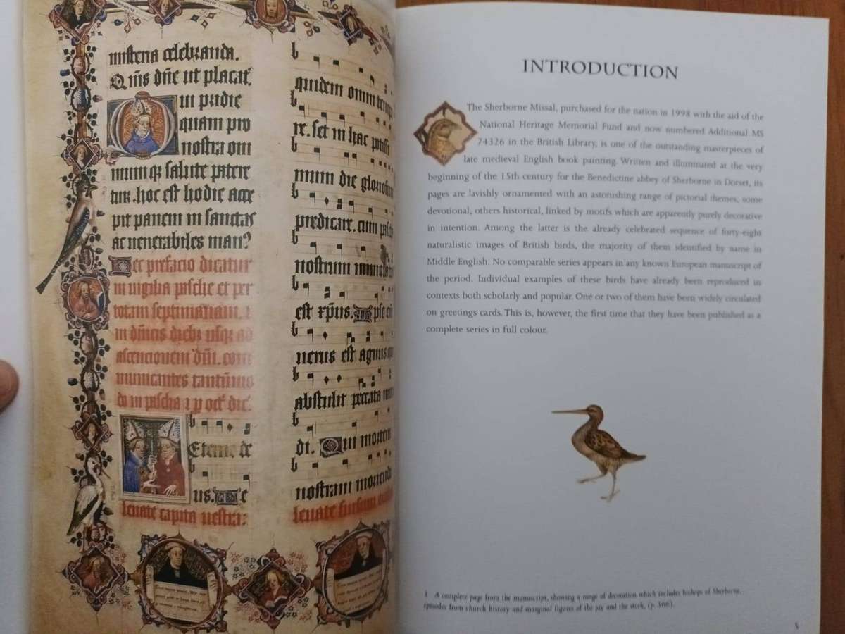 Medieval Birds in the Sherborne Missal (British Library)