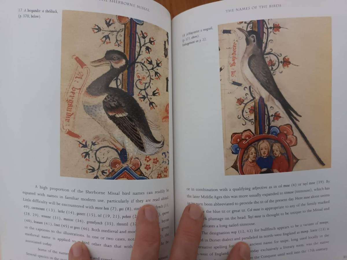 Medieval Birds in the Sherborne Missal (British Library)
