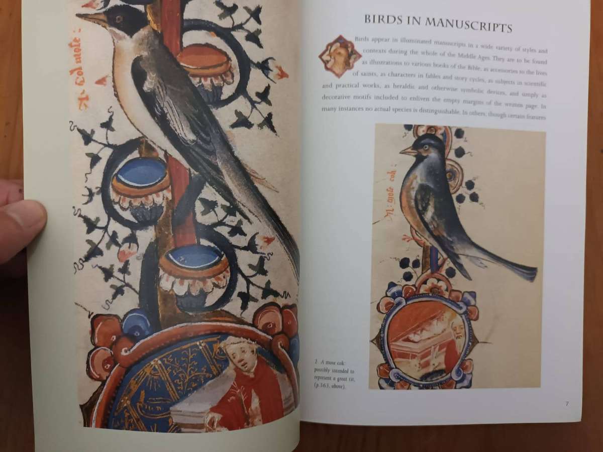 Medieval Birds in the Sherborne Missal (British Library)
