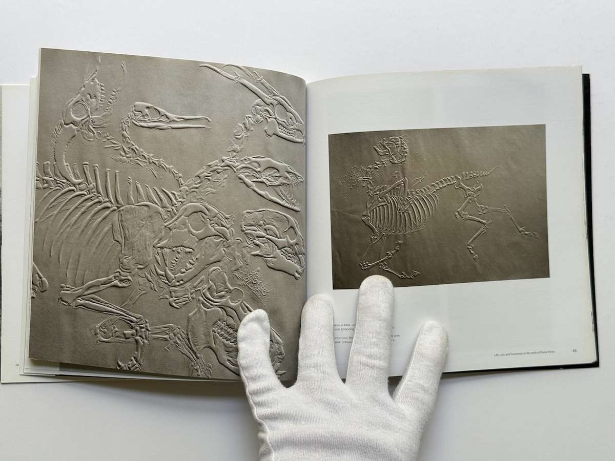 Diane Victor  Burning the Candle at Both Ends